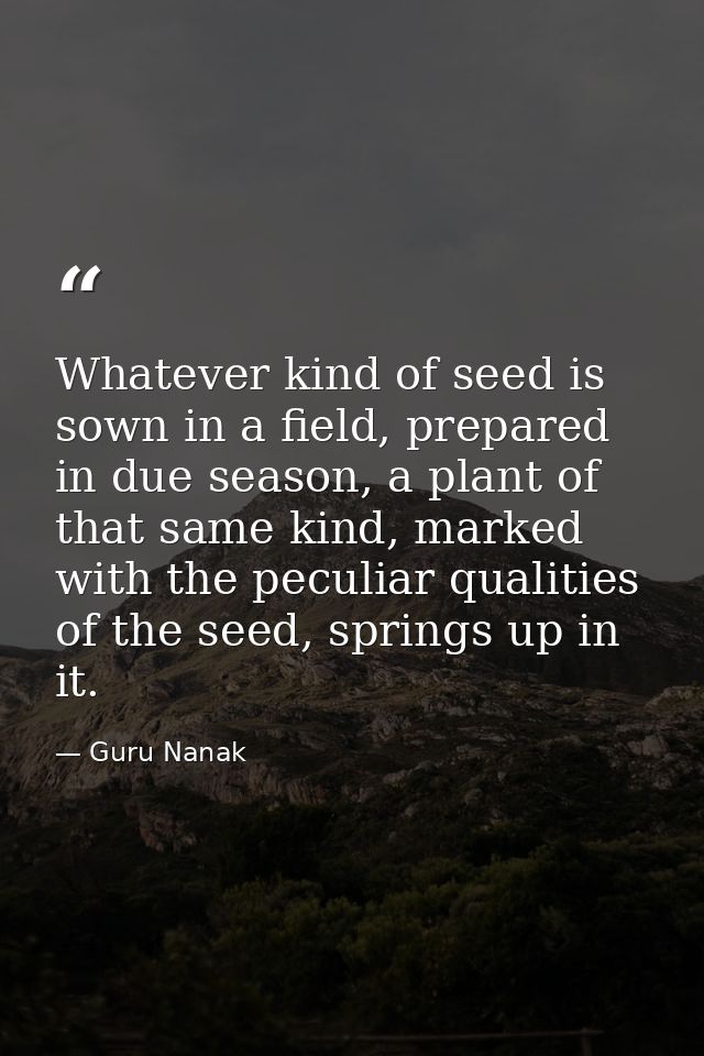 Whatever kind of seed is sown in a field, prepared in due season, a plant of that same kind, marked with the peculiar qu — Guru Nanak