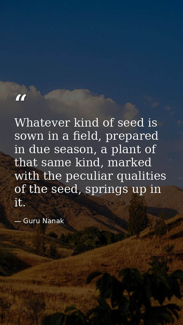 Whatever kind of seed is sown in a field, prepared in due season, a plant of that same kind, marked with the peculiar qu — Guru Nanak