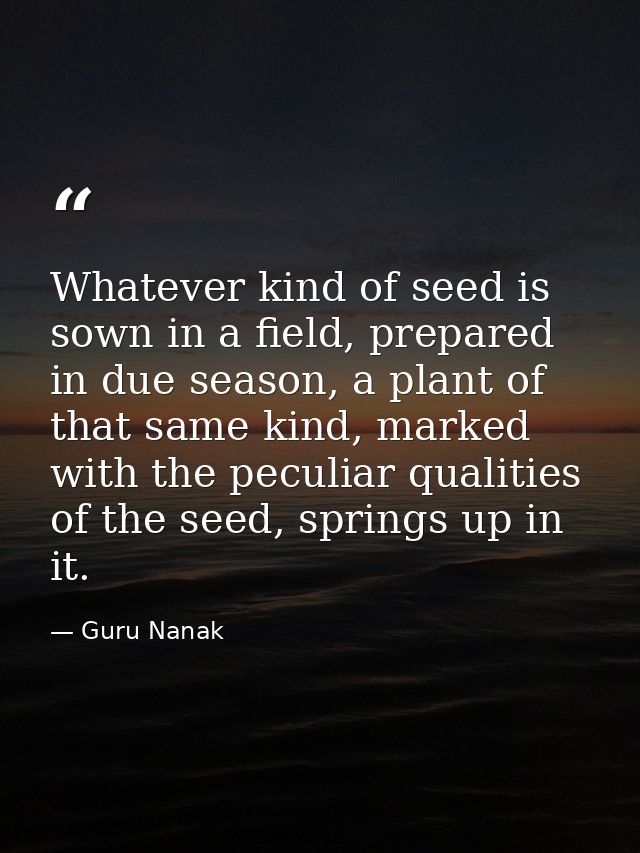 Whatever kind of seed is sown in a field, prepared in due season, a plant of that same kind, marked with the peculiar qu — Guru Nanak