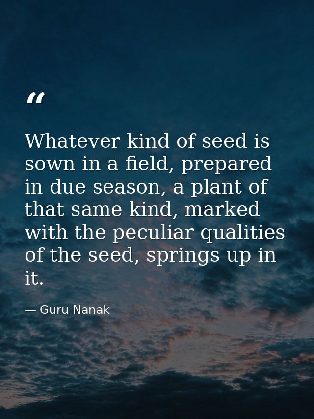 Whatever kind of seed is sown in a field, prepared in due season, a plant of that same kind, marked with the peculiar qu — Guru Nanak