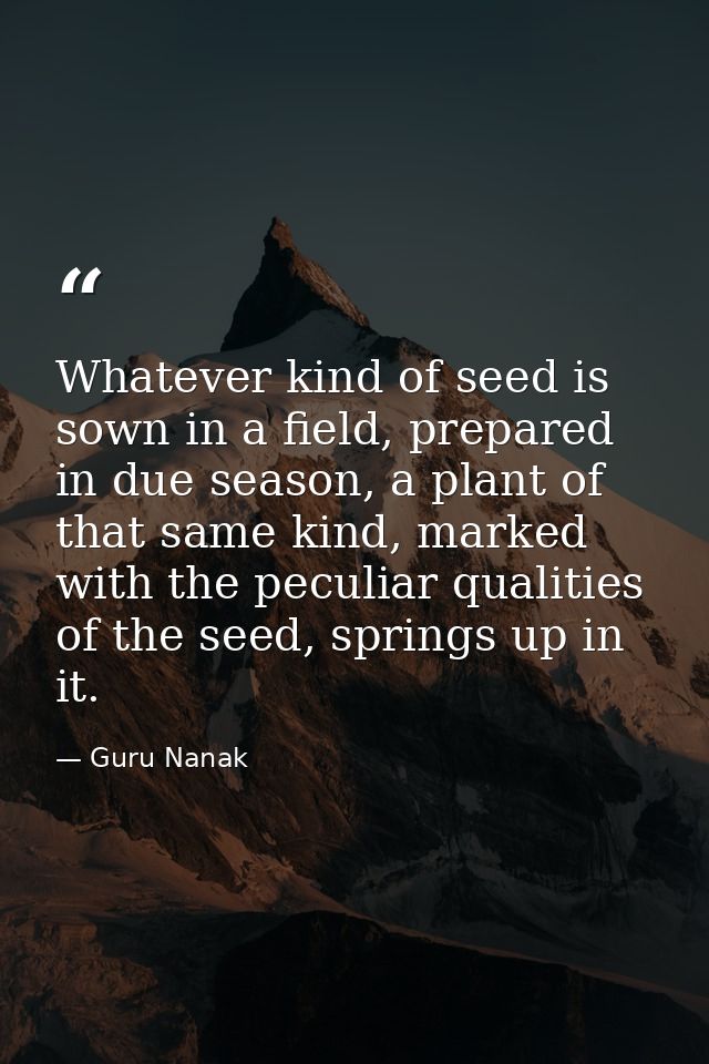 Whatever kind of seed is sown in a field, prepared in due season, a plant of that same kind, marked with the peculiar qu — Guru Nanak