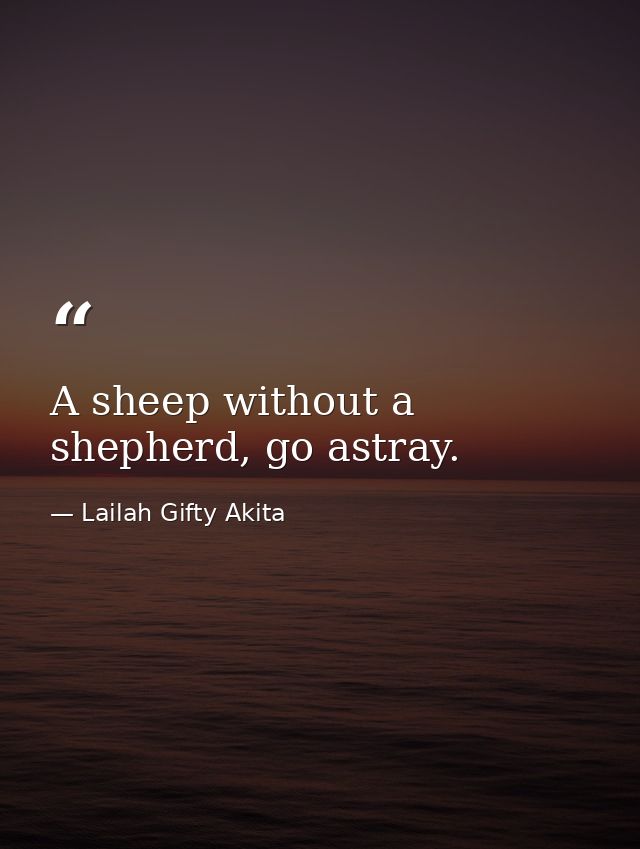 A sheep without a shepherd, go astray. — Lailah Gifty Akita