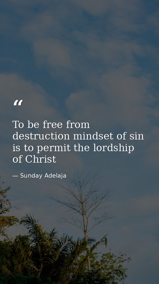 To be free from destruction mindset of sin is to permit the lordship of Christ — Sunday Adelaja