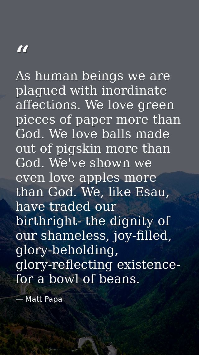 As human beings we are plagued with inordinate affections. We love green pieces of paper more than God. We love balls ma — Matt Papa