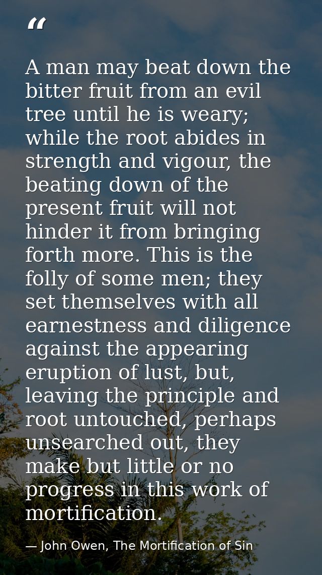 A man may beat down the bitter fruit from an evil tree until he is weary; while the root abides in strength and vigour,  — John Owen, The Mortification of Sin