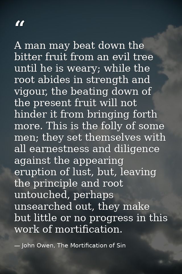 A man may beat down the bitter fruit from an evil tree until he is weary; while the root abides in strength and vigour,  — John Owen, The Mortification of Sin