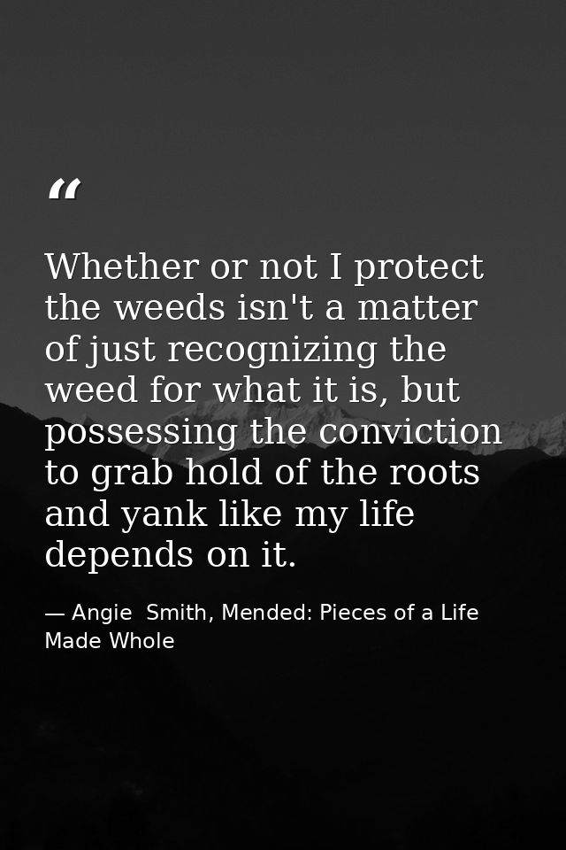 Whether or not I protect the weeds isn't a matter of just recognizing the weed for what it is, but possessing the convic — Angie  Smith, Mended: Pieces of a Life Made Whole