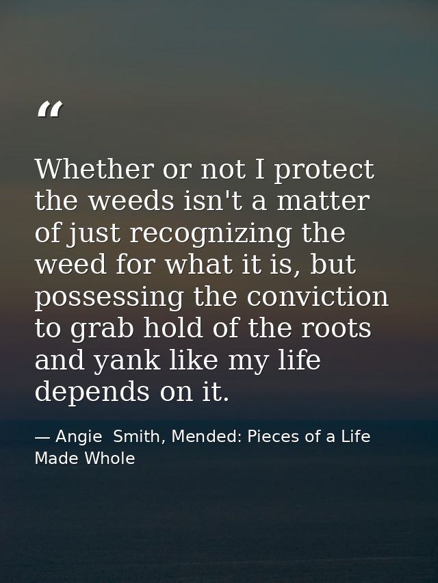 Whether or not I protect the weeds isn't a matter of just recognizing the weed for what it is, but possessing the convic — Angie  Smith, Mended: Pieces of a Life Made Whole