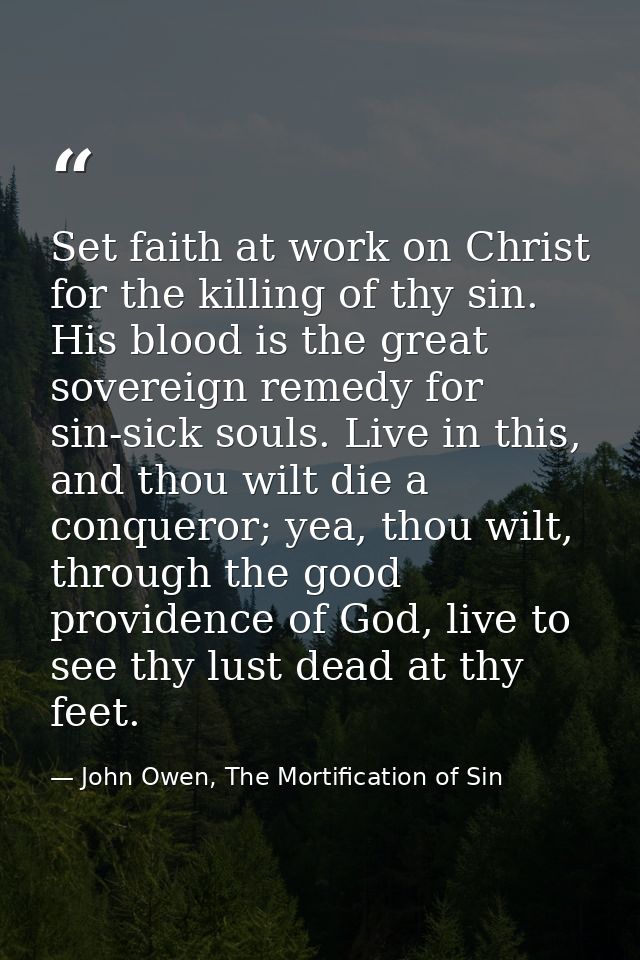 Set faith at work on Christ for the killing of thy sin. His blood is the great sovereign remedy for sin-sick souls. Live — John Owen, The Mortification of Sin