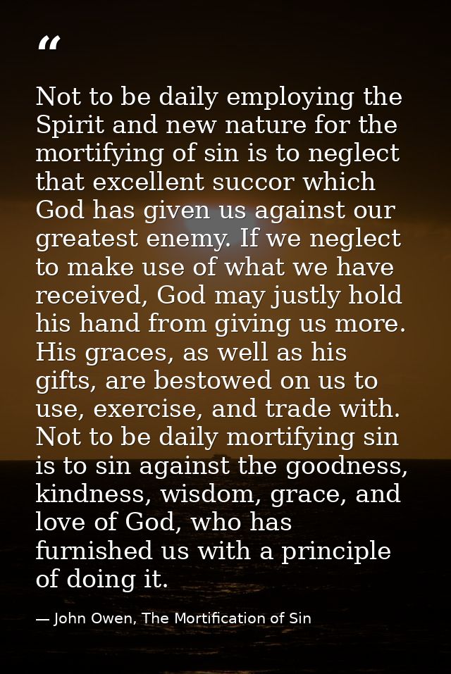 Not to be daily employing the Spirit and new nature for the mortifying of sin is to neglect that excellent succor which  — John Owen, The Mortification of Sin
