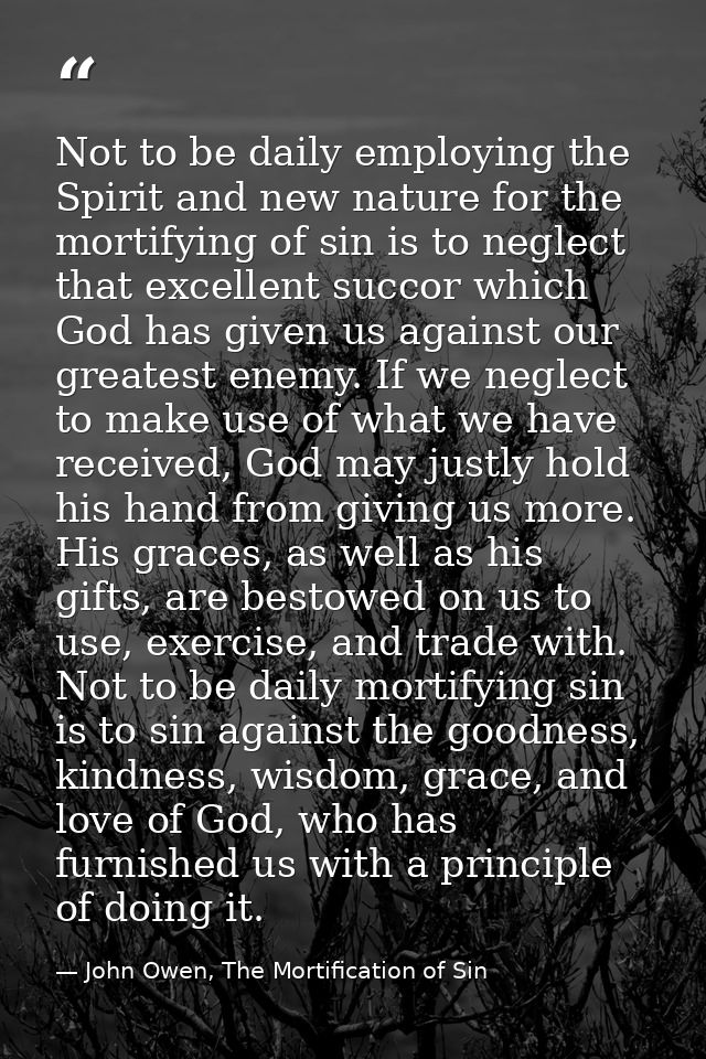 Not to be daily employing the Spirit and new nature for the mortifying of sin is to neglect that excellent succor which  — John Owen, The Mortification of Sin