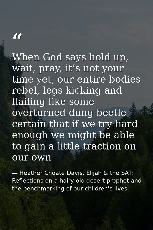 When God says hold up, wait, pray, it’s not your time yet, our entire bodies rebel, legs kicking and flailing like some  — Heather Choate Davis, Elijah & the SAT: Reflections on a hairy old desert prophet and the benchmarking of our children's lives