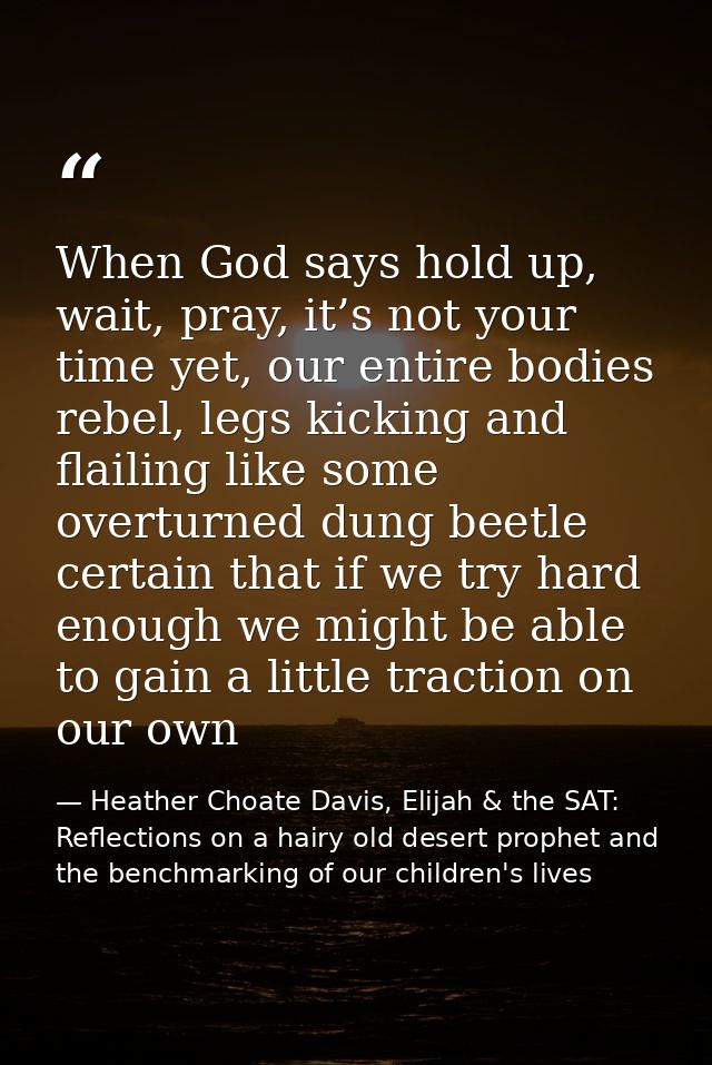 When God says hold up, wait, pray, it’s not your time yet, our entire bodies rebel, legs kicking and flailing like some  — Heather Choate Davis, Elijah & the SAT: Reflections on a hairy old desert prophet and the benchmarking of our children's lives