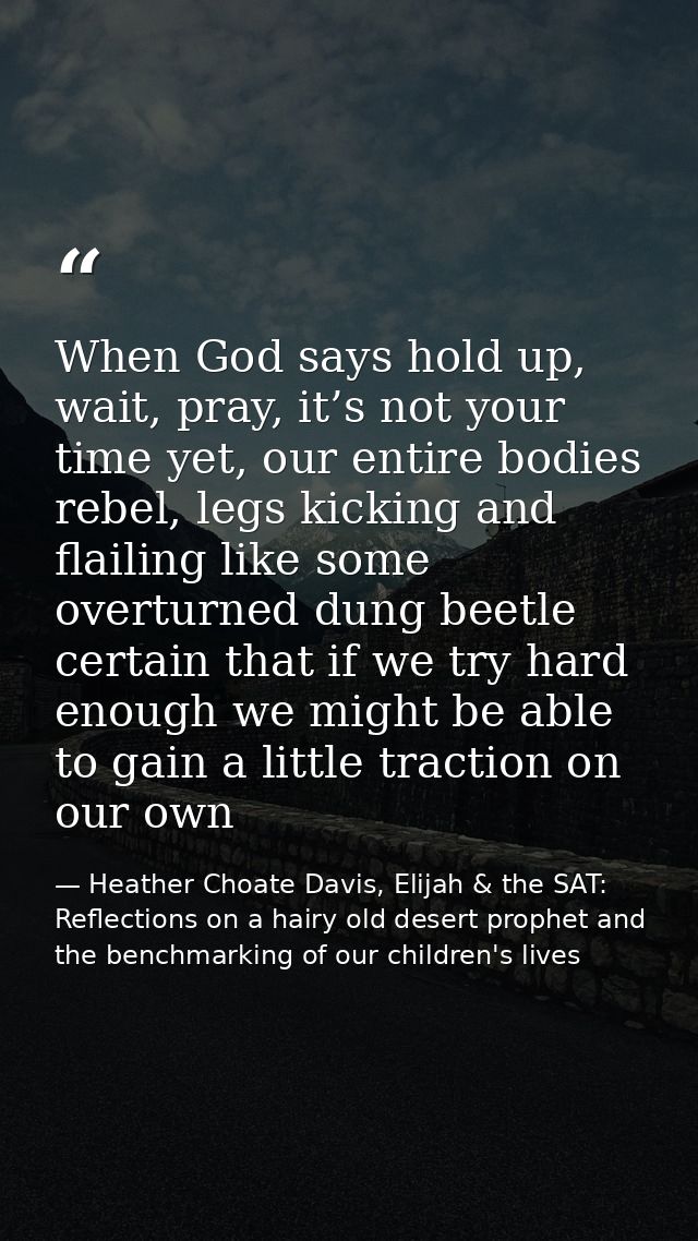 When God says hold up, wait, pray, it’s not your time yet, our entire bodies rebel, legs kicking and flailing like some  — Heather Choate Davis, Elijah & the SAT: Reflections on a hairy old desert prophet and the benchmarking of our children's lives