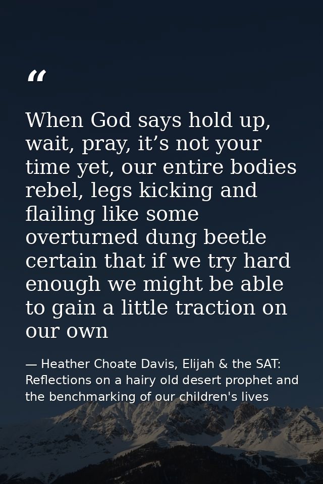 When God says hold up, wait, pray, it’s not your time yet, our entire bodies rebel, legs kicking and flailing like some  — Heather Choate Davis, Elijah & the SAT: Reflections on a hairy old desert prophet and the benchmarking of our children's lives