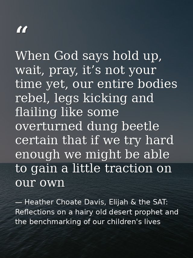 When God says hold up, wait, pray, it’s not your time yet, our entire bodies rebel, legs kicking and flailing like some  — Heather Choate Davis, Elijah & the SAT: Reflections on a hairy old desert prophet and the benchmarking of our children's lives