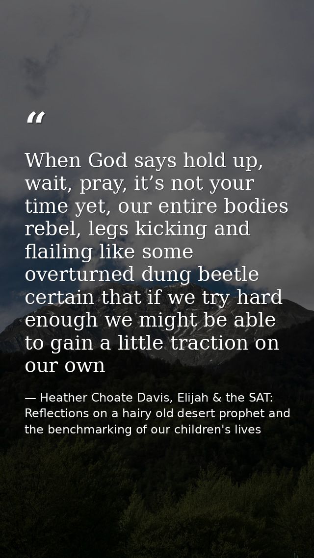 When God says hold up, wait, pray, it’s not your time yet, our entire bodies rebel, legs kicking and flailing like some  — Heather Choate Davis, Elijah & the SAT: Reflections on a hairy old desert prophet and the benchmarking of our children's lives