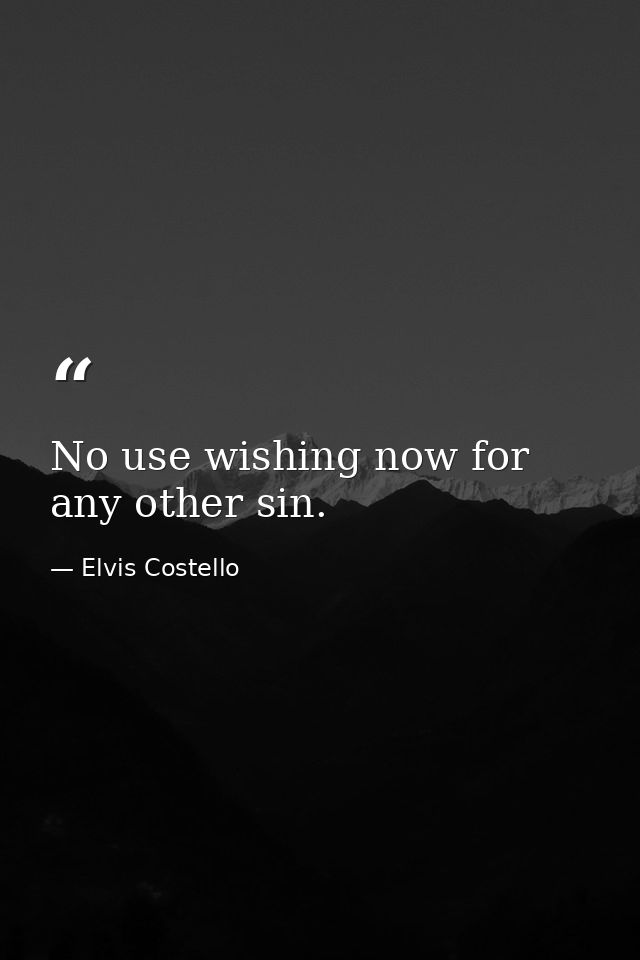 No use wishing now for any other sin. — Elvis Costello