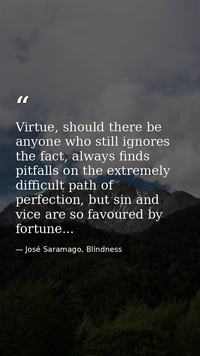 Virtue, should there be anyone who still ignores the fact, always finds pitfalls on the extremely difficult path of perf — José Saramago, Blindness