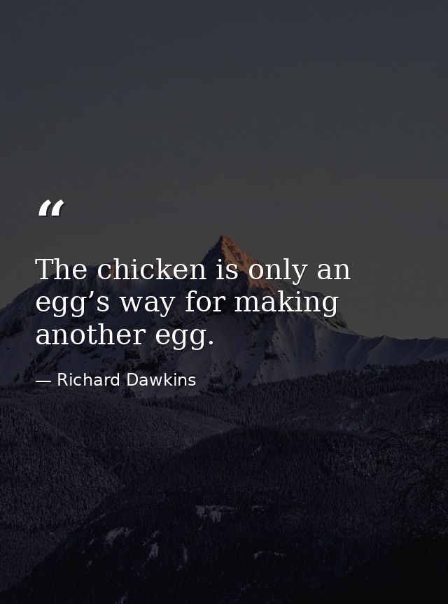 The chicken is only an egg’s way for making another egg. — Richard Dawkins