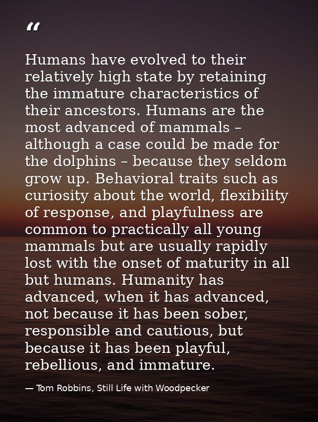 Humans have evolved to their relatively high state by retaining the immature characteristics of their ancestors. Humans  — Tom Robbins, Still Life with Woodpecker