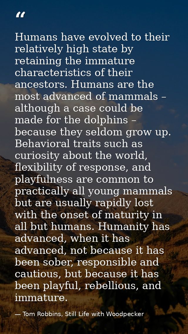 Humans have evolved to their relatively high state by retaining the immature characteristics of their ancestors. Humans  — Tom Robbins, Still Life with Woodpecker