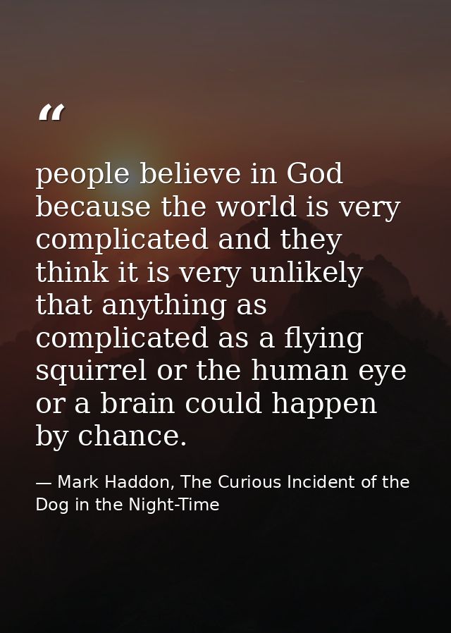 people believe in God because the world is very complicated and they think it is very unlikely that anything as complica — Mark Haddon, The Curious Incident of the Dog in the Night-Time