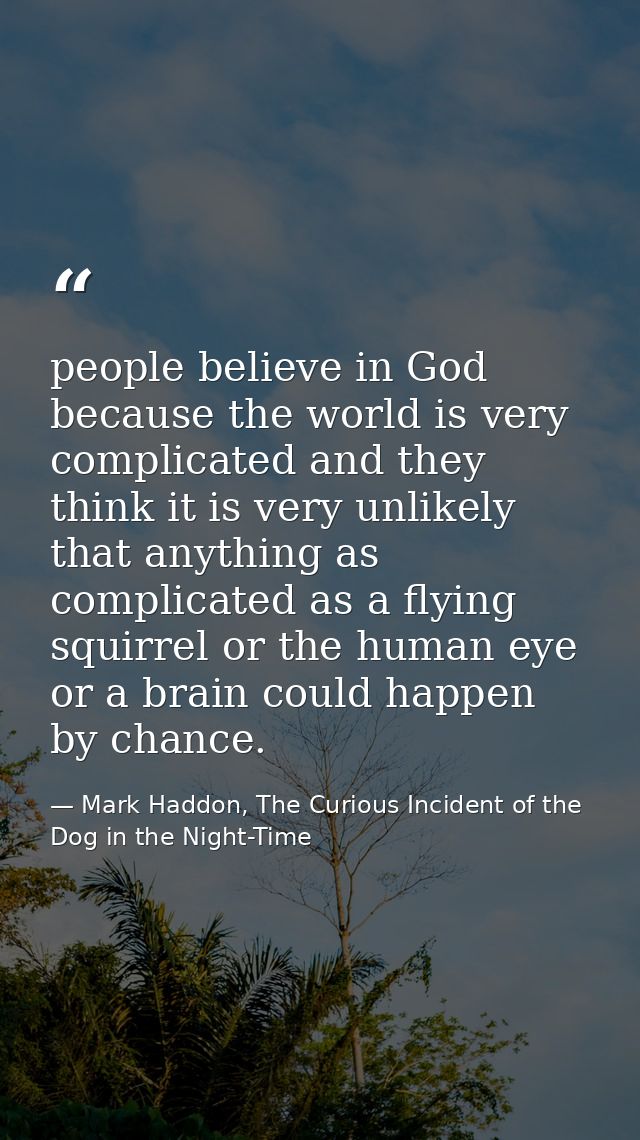 people believe in God because the world is very complicated and they think it is very unlikely that anything as complica — Mark Haddon, The Curious Incident of the Dog in the Night-Time