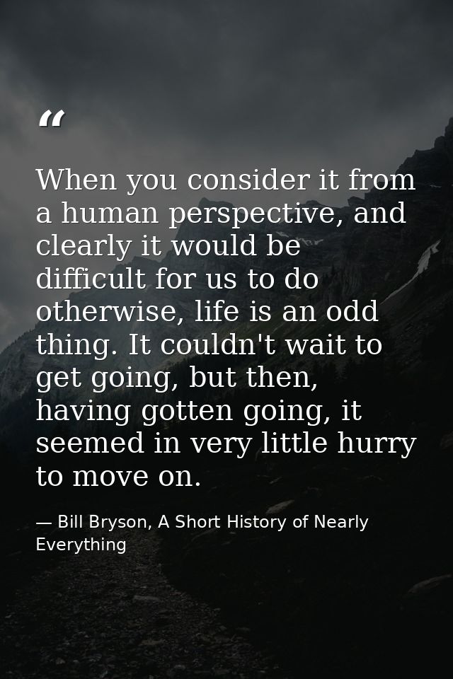 When you consider it from a human perspective, and clearly it would be difficult for us to do otherwise, life is an odd  — Bill Bryson, A Short History of Nearly Everything