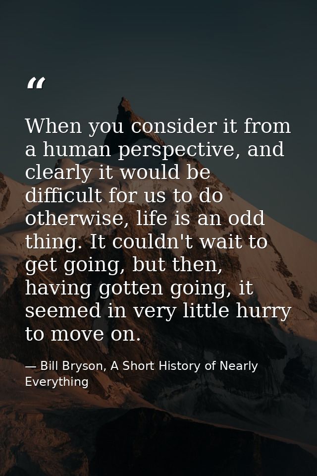 When you consider it from a human perspective, and clearly it would be difficult for us to do otherwise, life is an odd  — Bill Bryson, A Short History of Nearly Everything