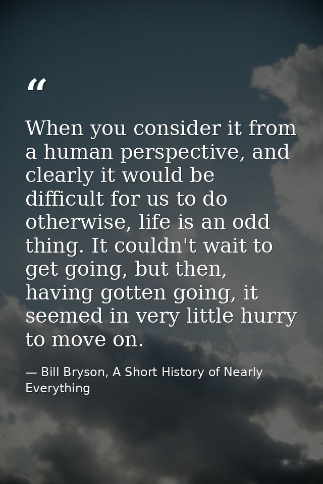 When you consider it from a human perspective, and clearly it would be difficult for us to do otherwise, life is an odd  — Bill Bryson, A Short History of Nearly Everything