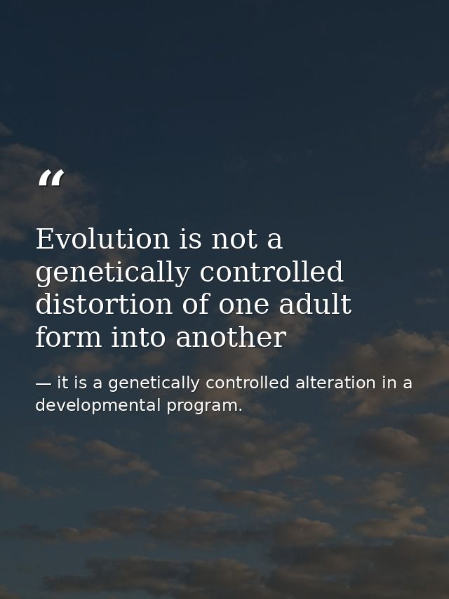 Evolution is not a genetically controlled distortion of one adult form into another — it is a genetically controlled alteration in a developmental program.