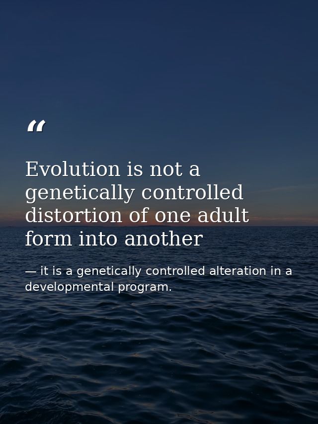 Evolution is not a genetically controlled distortion of one adult form into another — it is a genetically controlled alteration in a developmental program.