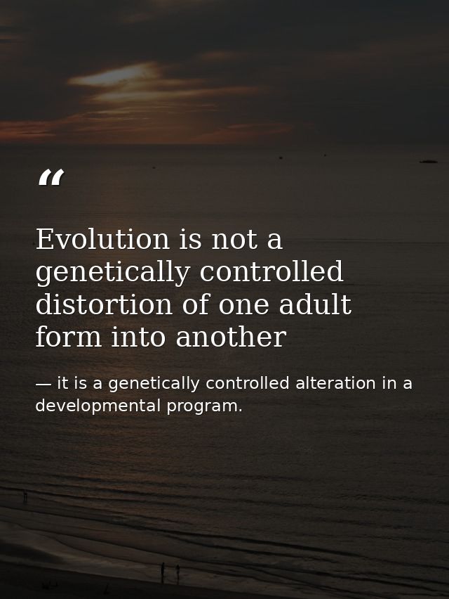 Evolution is not a genetically controlled distortion of one adult form into another — it is a genetically controlled alteration in a developmental program.