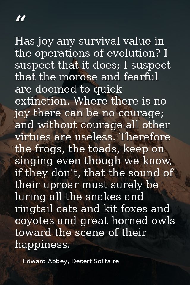 Has joy any survival value in the operations of evolution? I suspect that it does; I suspect that the morose and fearful — Edward Abbey, Desert Solitaire