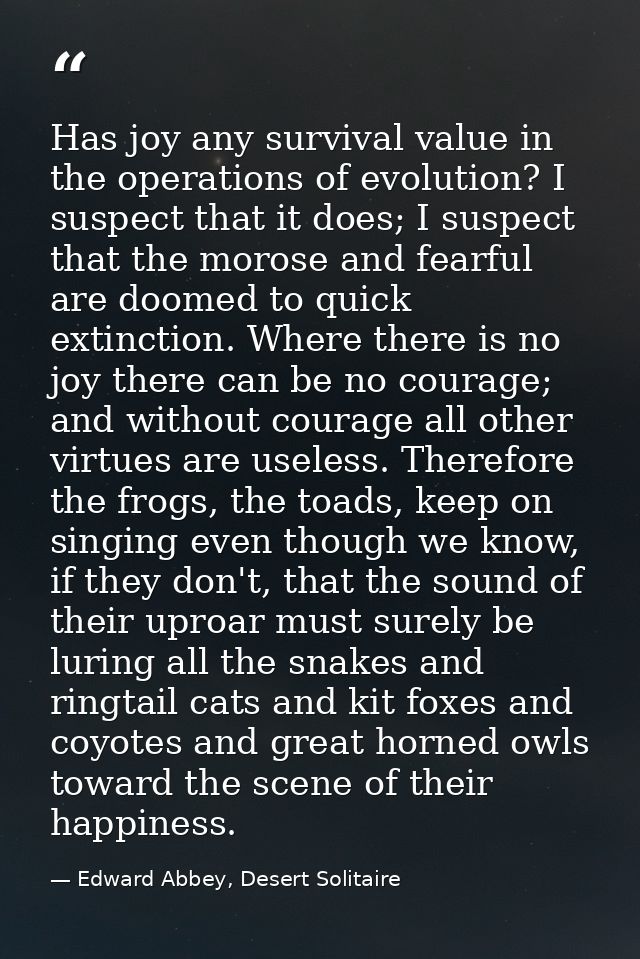 Has joy any survival value in the operations of evolution? I suspect that it does; I suspect that the morose and fearful — Edward Abbey, Desert Solitaire