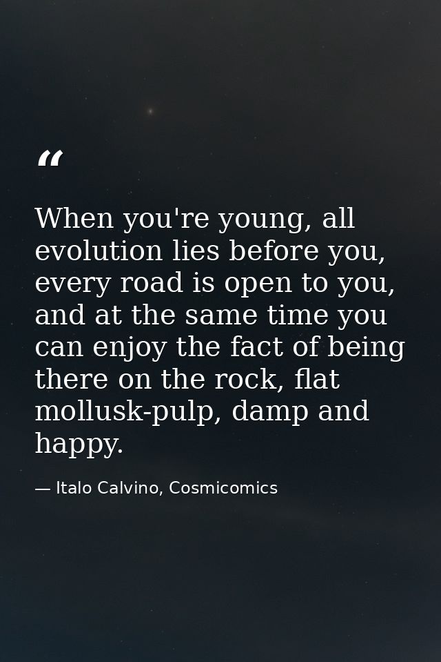When you're young, all evolution lies before you, every road is open to you, and at the same time you can enjoy the fact — Italo Calvino, Cosmicomics