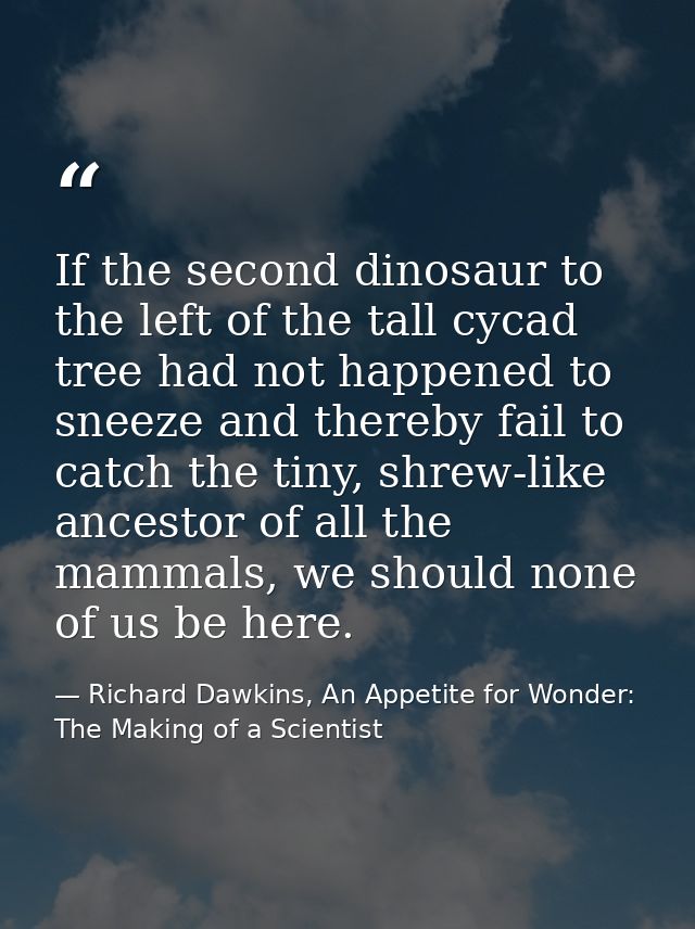 If the second dinosaur to the left of the tall cycad tree had not happened to sneeze and thereby fail to catch the tiny, — Richard Dawkins, An Appetite for Wonder: The Making of a Scientist