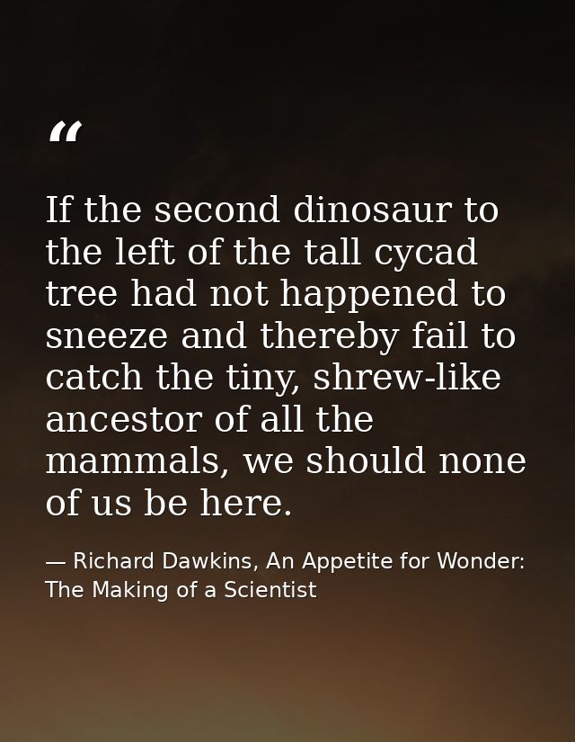 If the second dinosaur to the left of the tall cycad tree had not happened to sneeze and thereby fail to catch the tiny, — Richard Dawkins, An Appetite for Wonder: The Making of a Scientist