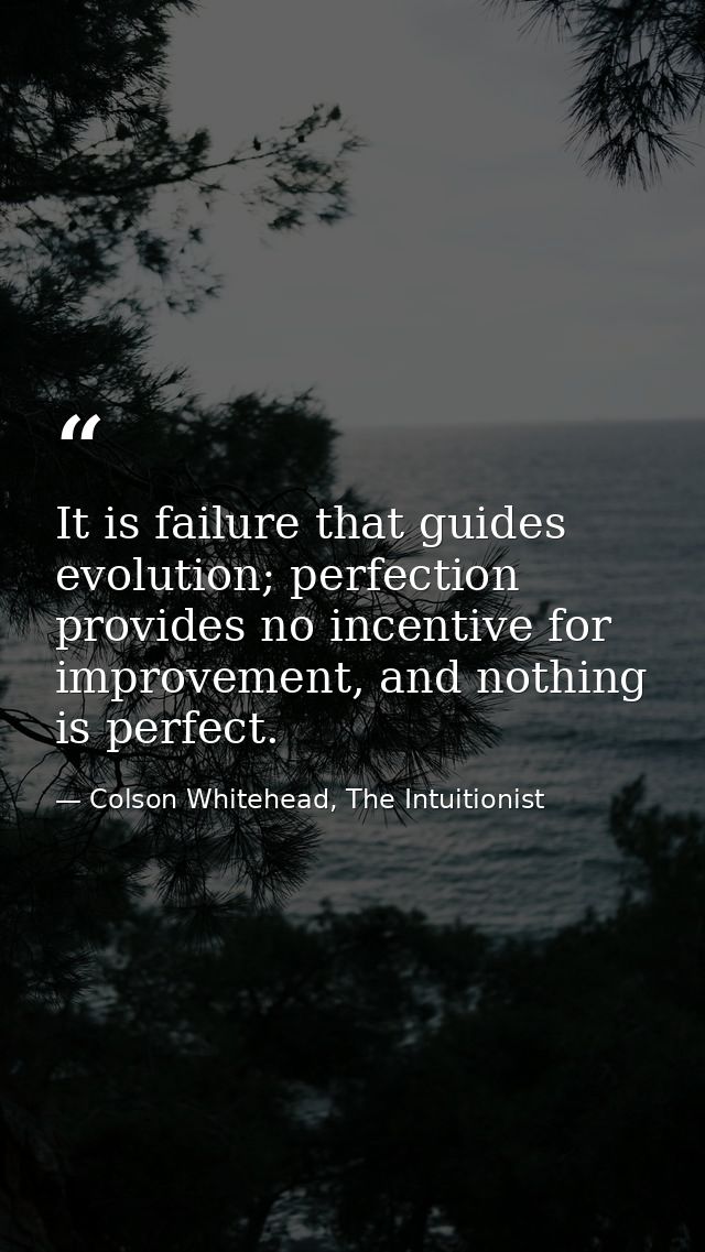 It is failure that guides evolution; perfection provides no incentive for improvement, and nothing is perfect. — Colson Whitehead, The Intuitionist