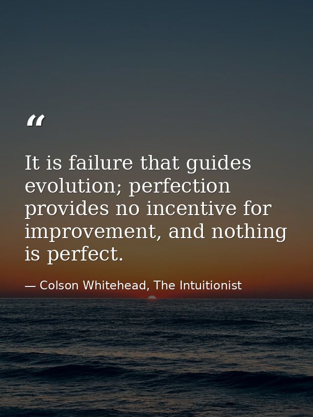It is failure that guides evolution; perfection provides no incentive for improvement, and nothing is perfect. — Colson Whitehead, The Intuitionist