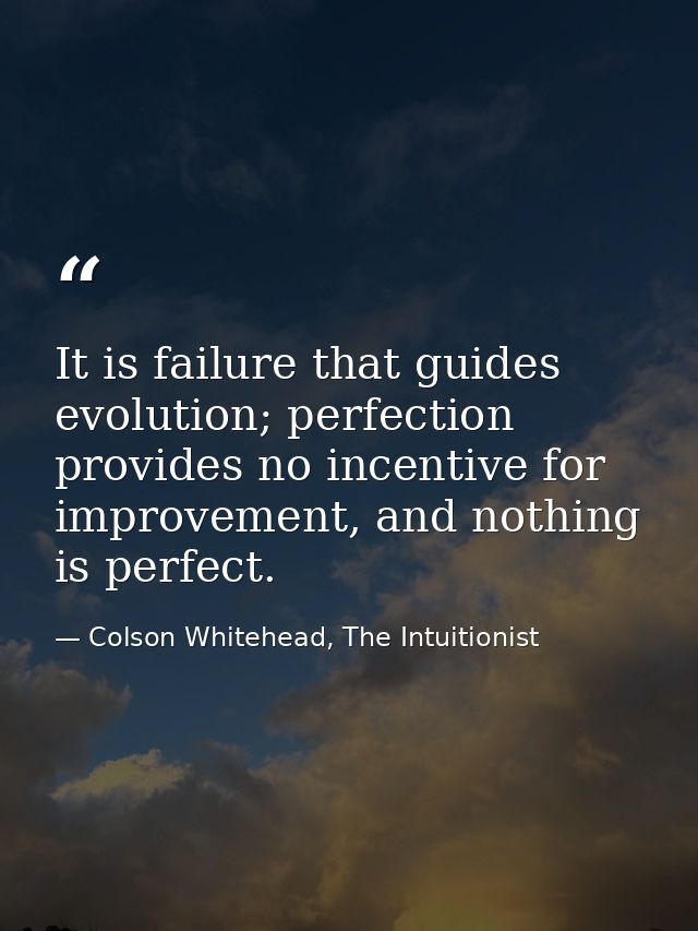 It is failure that guides evolution; perfection provides no incentive for improvement, and nothing is perfect. — Colson Whitehead, The Intuitionist