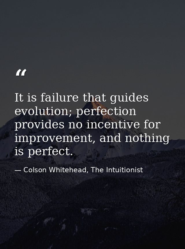 It is failure that guides evolution; perfection provides no incentive for improvement, and nothing is perfect. — Colson Whitehead, The Intuitionist