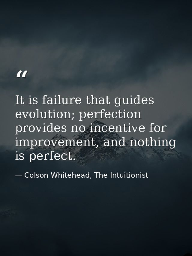 It is failure that guides evolution; perfection provides no incentive for improvement, and nothing is perfect. — Colson Whitehead, The Intuitionist