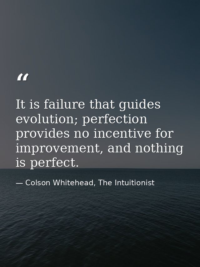 It is failure that guides evolution; perfection provides no incentive for improvement, and nothing is perfect. — Colson Whitehead, The Intuitionist