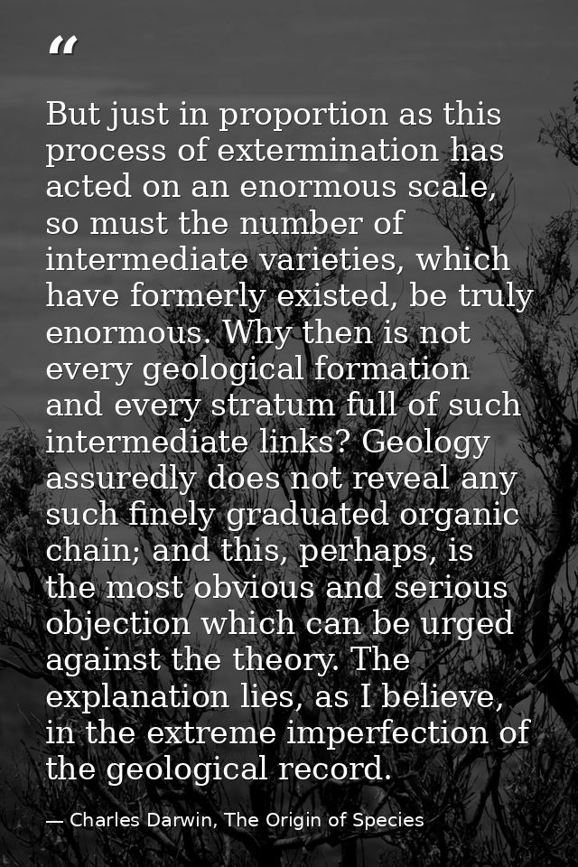 But just in proportion as this process of extermination has acted on an enormous scale, so must the number of intermedia — Charles Darwin, The Origin of Species