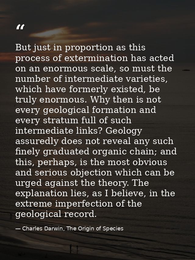 But just in proportion as this process of extermination has acted on an enormous scale, so must the number of intermedia — Charles Darwin, The Origin of Species