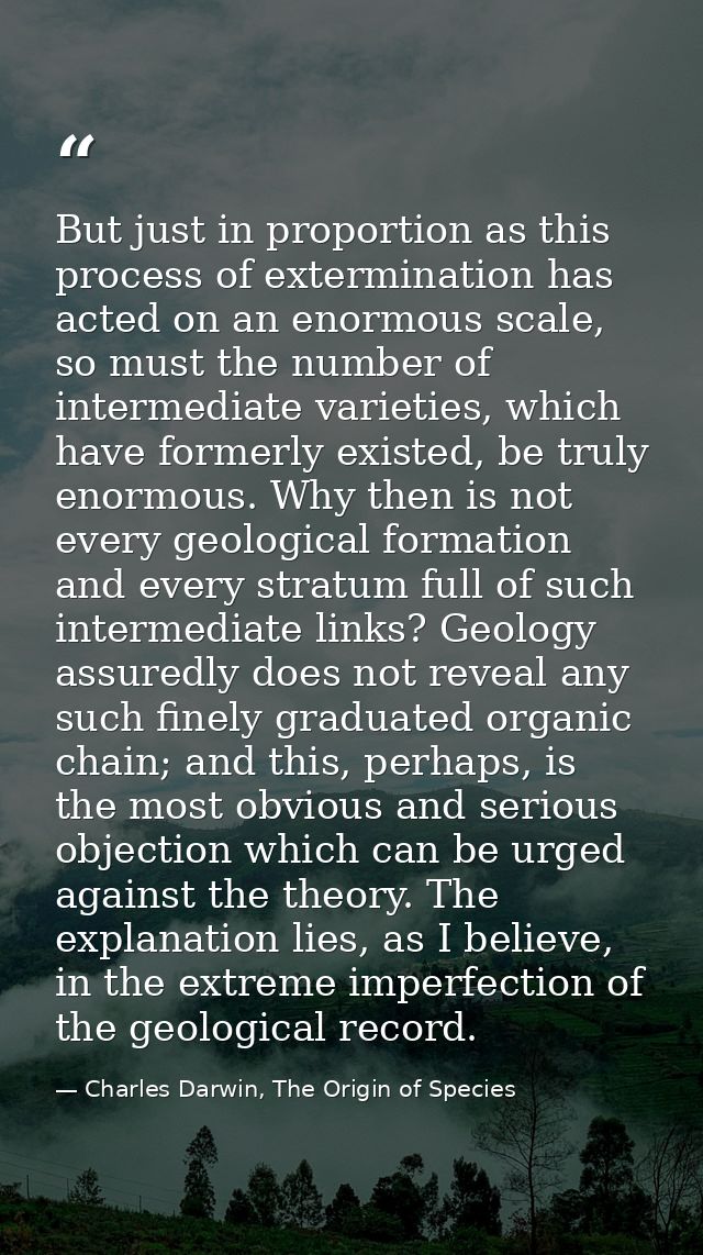 But just in proportion as this process of extermination has acted on an enormous scale, so must the number of intermedia — Charles Darwin, The Origin of Species