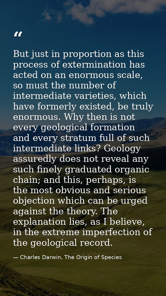 But just in proportion as this process of extermination has acted on an enormous scale, so must the number of intermedia — Charles Darwin, The Origin of Species
