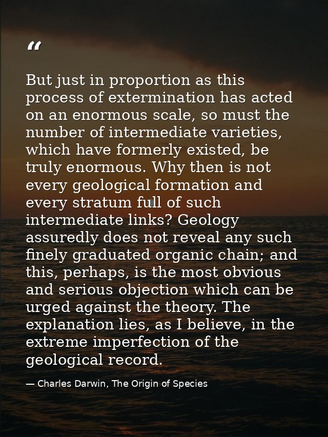 But just in proportion as this process of extermination has acted on an enormous scale, so must the number of intermedia — Charles Darwin, The Origin of Species